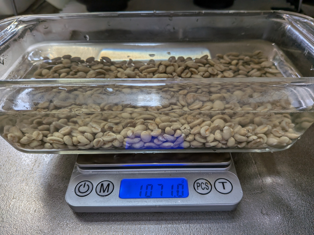 Green beans during the 30-minute soak